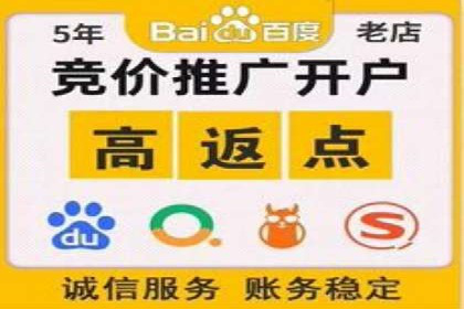成功案例：一家初创企业如何通过百度关键词推广快速崛起
